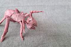 Ant-v3-head