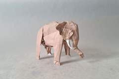 Asian-Elephant-Kato-1