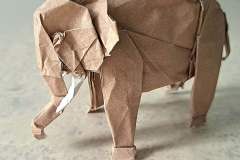 Asian-Elephant-Kato-13