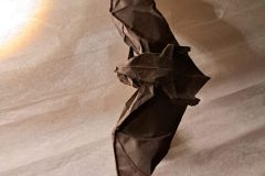 bat_v1-flying1