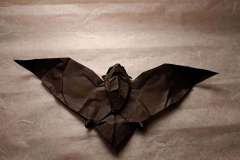 bat_v1-belly