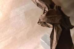 bat_v1-head