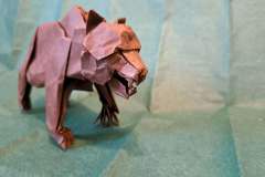 Bear-v1-head