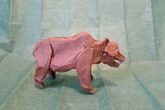 Bear-v1-side