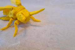 Bee_v2_head