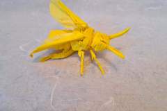 Bee_v2_side