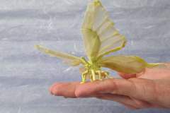 Butterfly_v2-hand