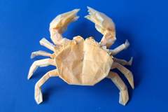 Crab V2