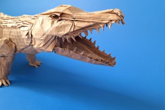 Crocodile-v1-24