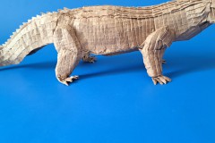 Crocodile-v1-25