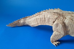 Crocodile-v1-29