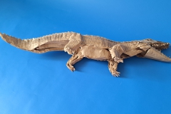 Crocodile-v1-30