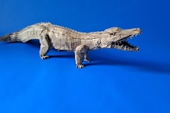 Crocodile-v1-34