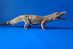 Crocodile-v1-35