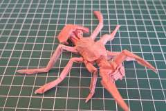 Ant_v1-1