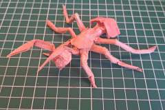 Ant_v1-2