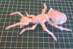 Ant_v2-1