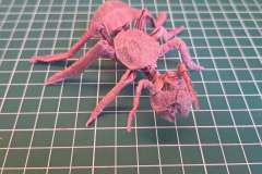 Ant_v3-1