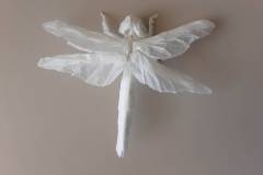 dragonfly-v2-back