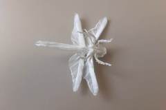 dragonfly-v2-belly