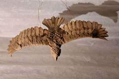 Eagle_v1-fly-back