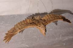 Eagle_v1-fly-head