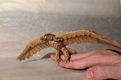 Eagle_v1-hand-belly