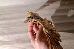 Eagle_v1-hand-side