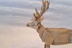 Elk_v2-head