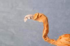 Flamingo-head-2