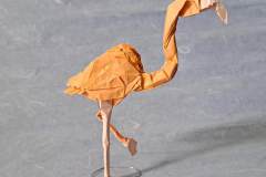 Flamingo-side-2