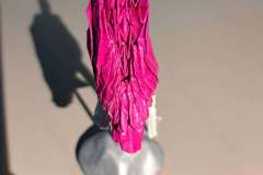 flamingo_v1-back2