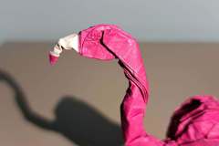 flamingo_v1-head