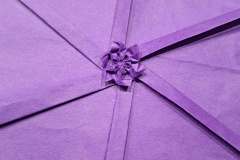 flower-card-6