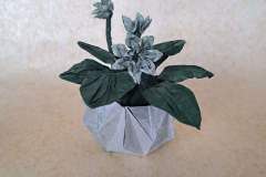 Flower Pot