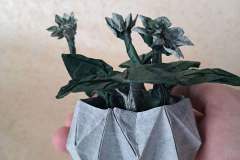 flower-pot-5