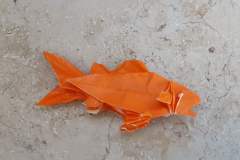 Generic-fish-v1-1