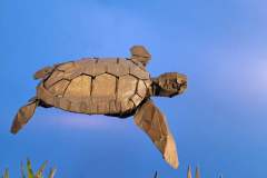 Green-Turtle-V2
