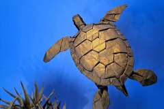 Green-Turtle-V2