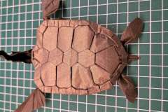Green-Turtle-V2-21