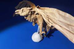 Griffon_v3-head