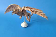 griffon_v3-3