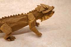 iguana-v1-head-3