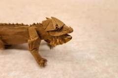 iguana-v1-head-4