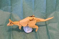 Kangaroo_v1-back
