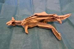 Kangaroo_v1-belly