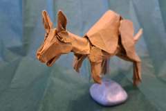 Kangaroo_v1-head