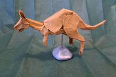 Kangaroo_v1-side