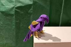 parrot_v2-front