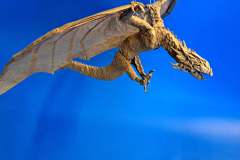 Scaled Wyvern V2